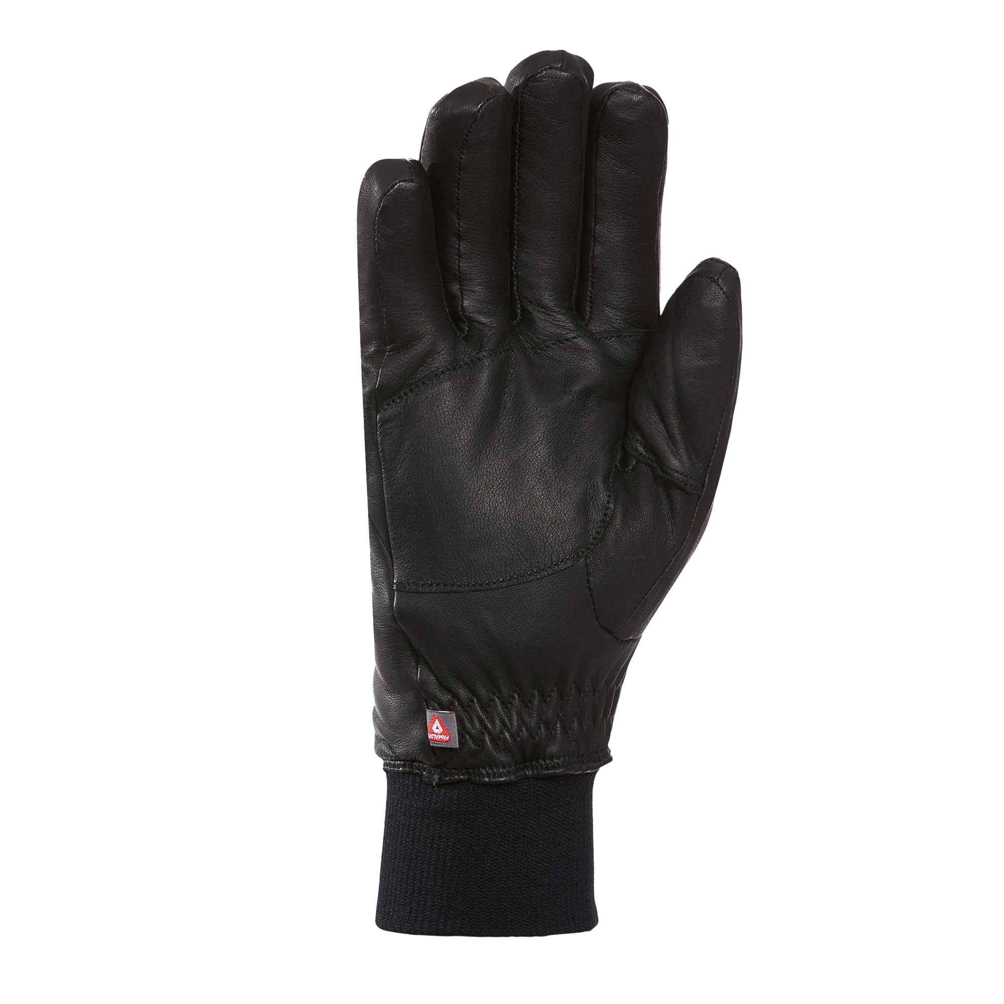 Handsome PRIMALOFT® Leather Gloves - Men