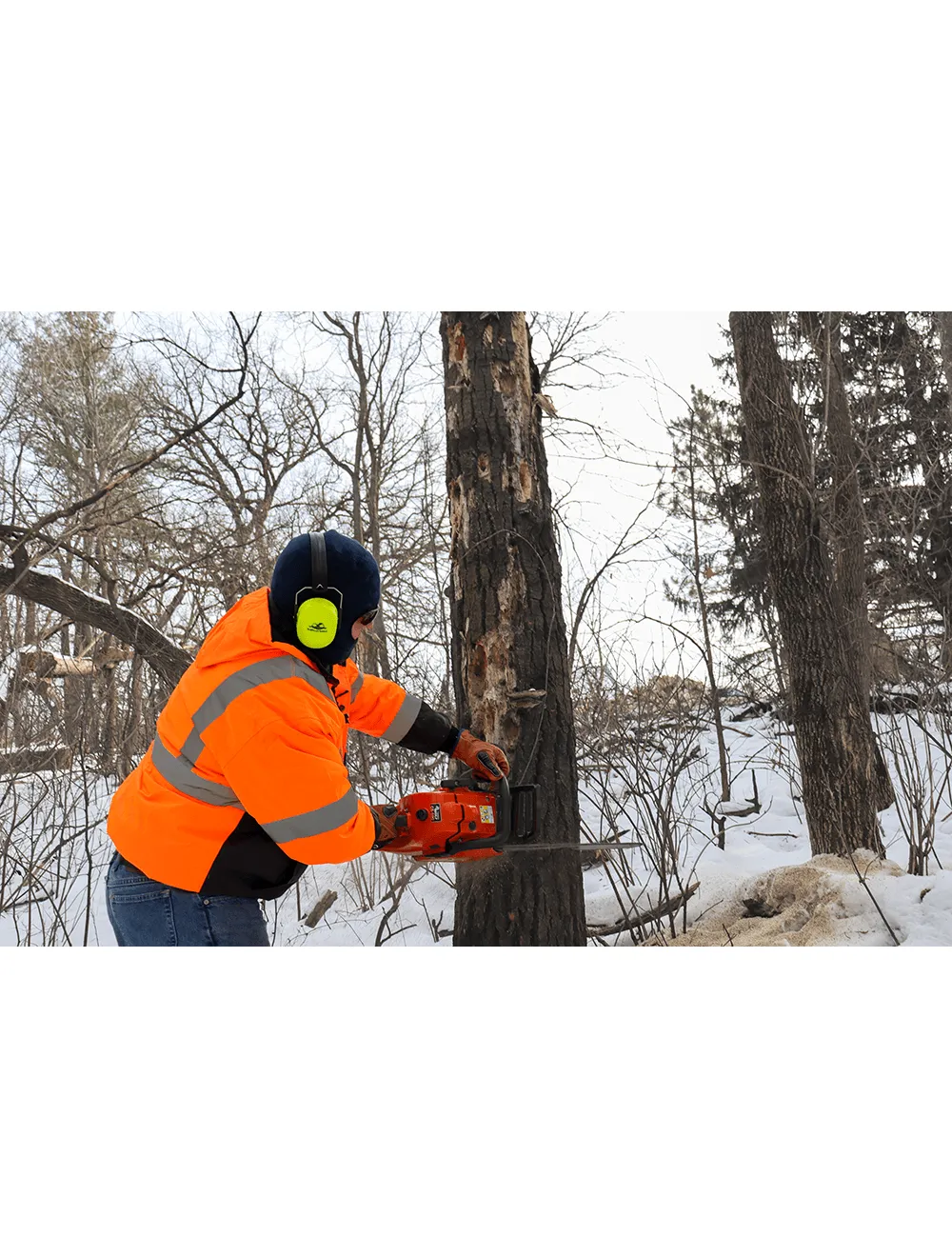 Impact, Oil, Water, and Cut Resistant Insulated Gloves - CIA3800INT