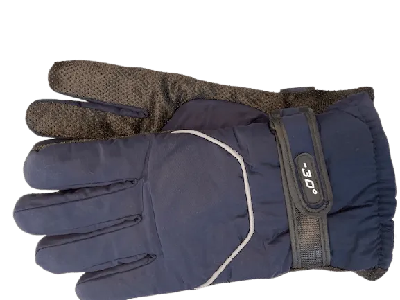 Men's Winter Gloves (Water-Proof and Insulated)