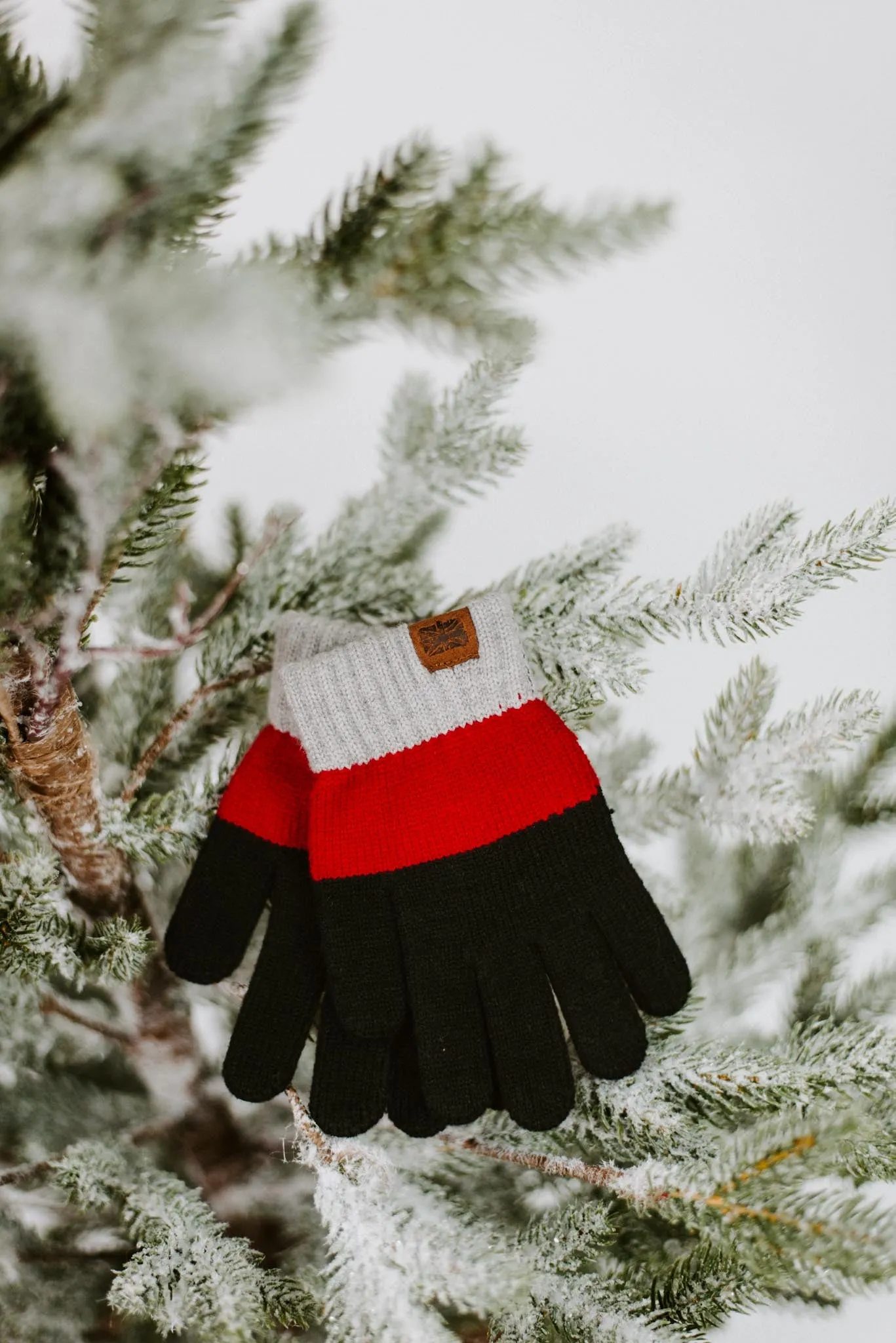 Wonderland Color Block Kids Gloves